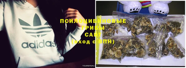 спайс Балахна